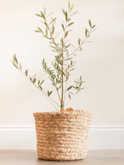 Tidy organised home - Gloucestershire.