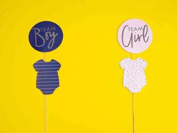 Blue "Team Boy" and pink "Team Girl" baby onesie cutouts on sticks.