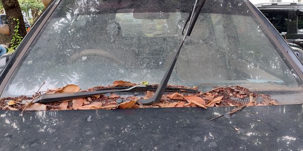 Windshield covered with dry leaves and dirt on a neglected car.