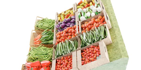 Fresh vegetables neatly arranged in baskets and wooden crates on a display stand.
