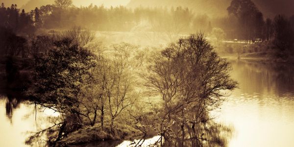 Peaceful foggy river landscape with trees and soft lighting.