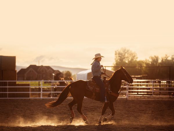 Cowboy riding a horse at sunset in a rodeo arena.