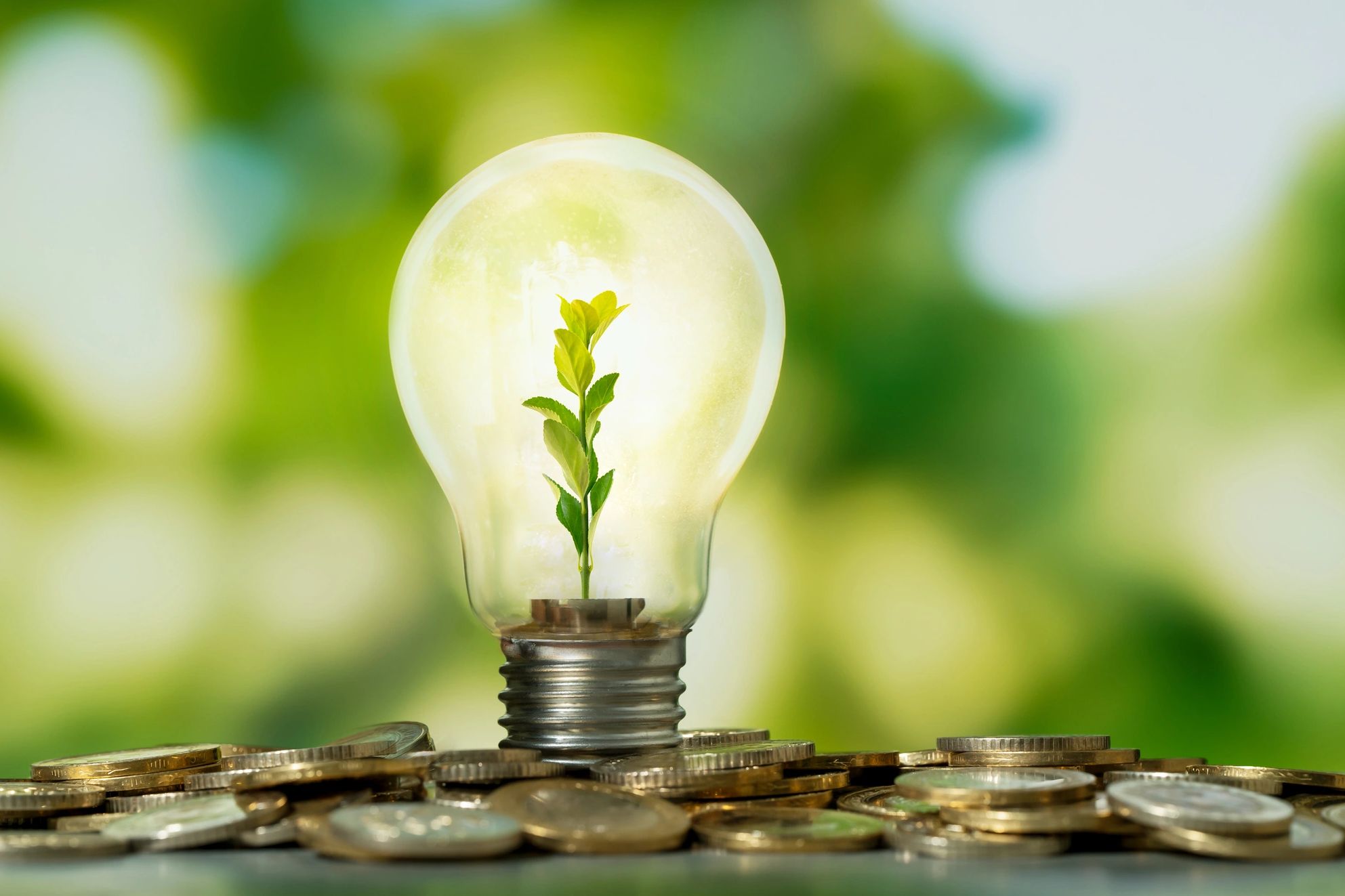 A plant growing inside a lightbulb on coins.