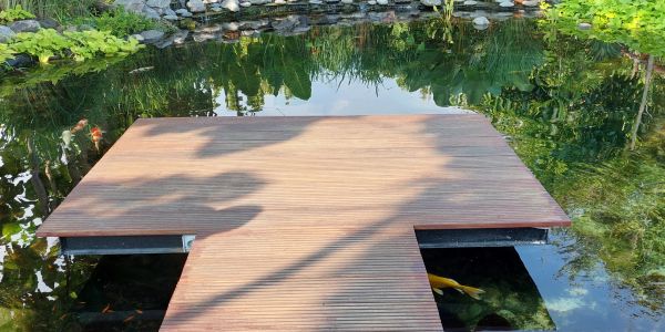 Wooden platform over a pond with fish visible.