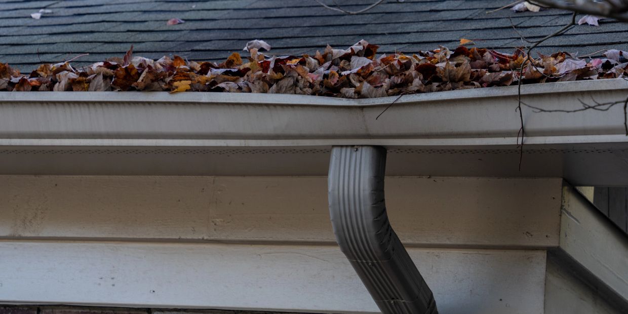 Gutter filled with fallen autumn leaves on a house.