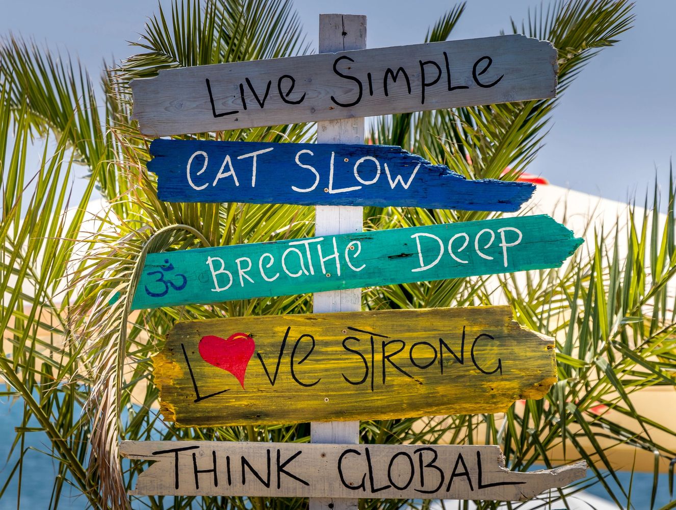 Colorful wooden signs with life advice against palm trees and blue sky.