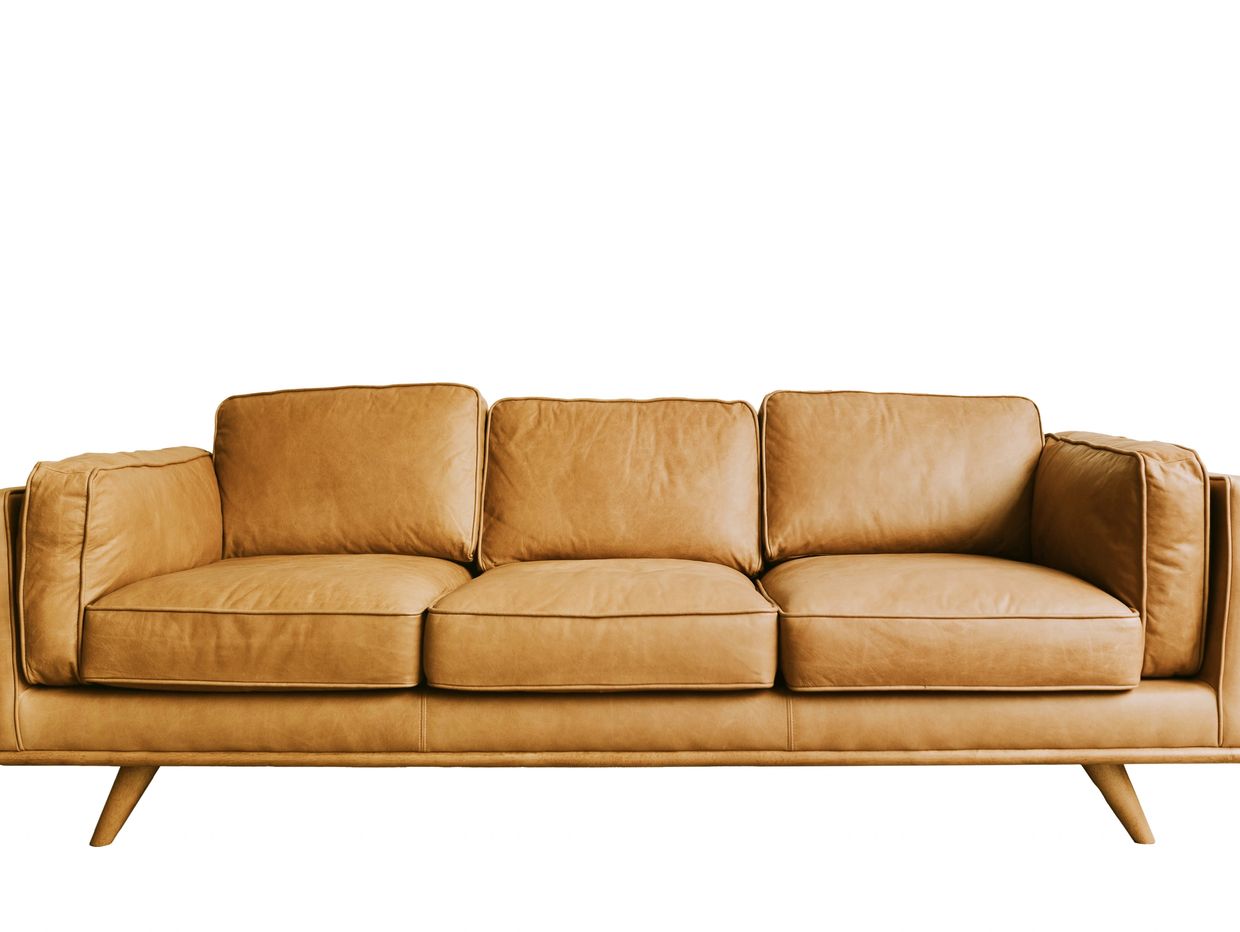 Couch/Sofa
