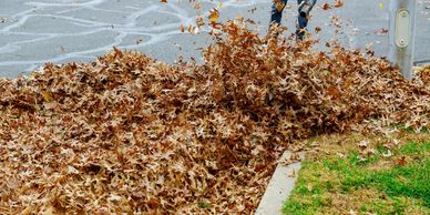 Leaf removal 