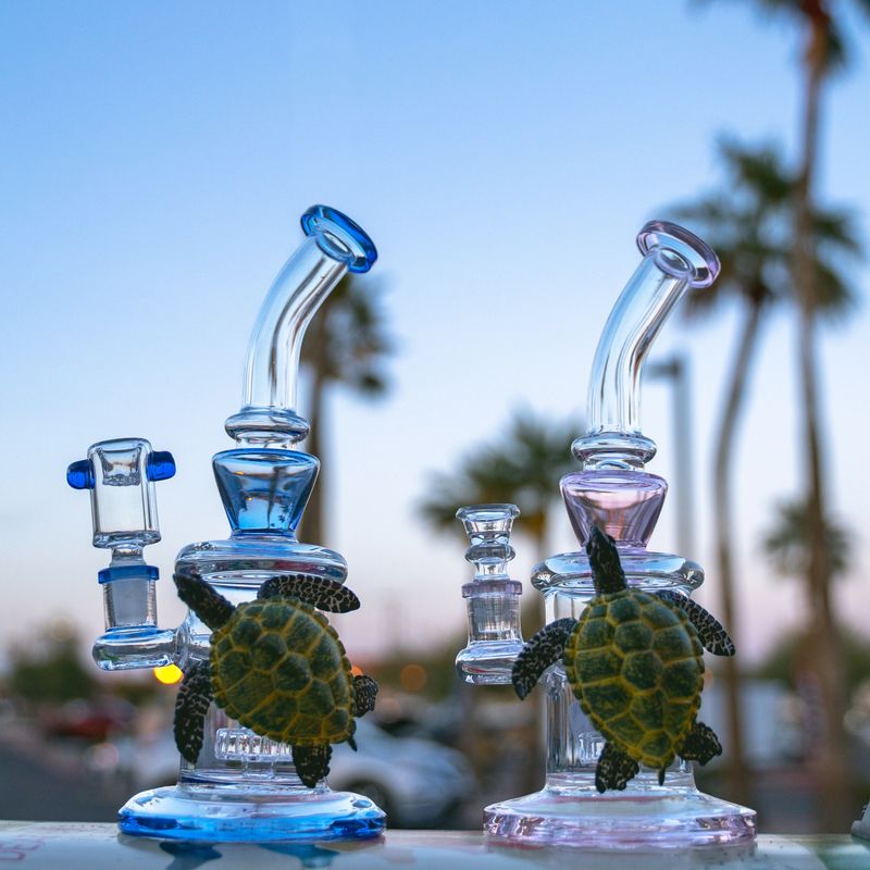 A closeup shot of glass turtle bongs at a beach during the day
