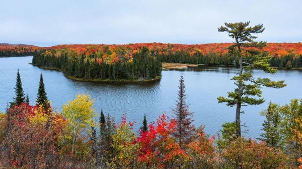 A serene lake surrounded by colorful autumn trees and a small island.