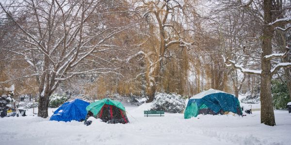 Three tents set up in a snowy park surrounded by bare trees.