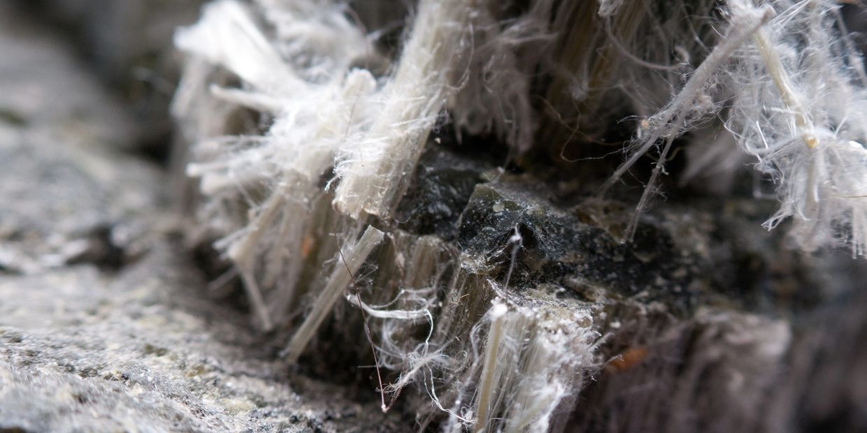 Close-up of fibrous mineral crystals embedded in rock.