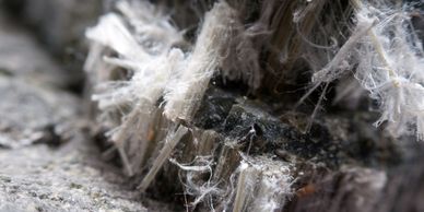 Asbestos