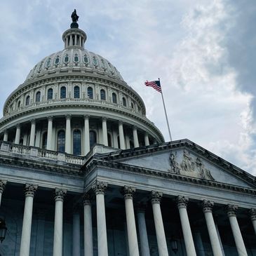 U.S. Capitol dome with flag under a cloudy sky, symbolizing governance and national leadership.