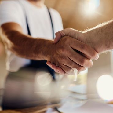 Two people shaking hands in a warm, sunlit setting.