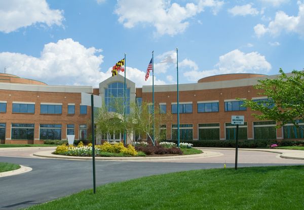 Office building with flags and landscaped front.