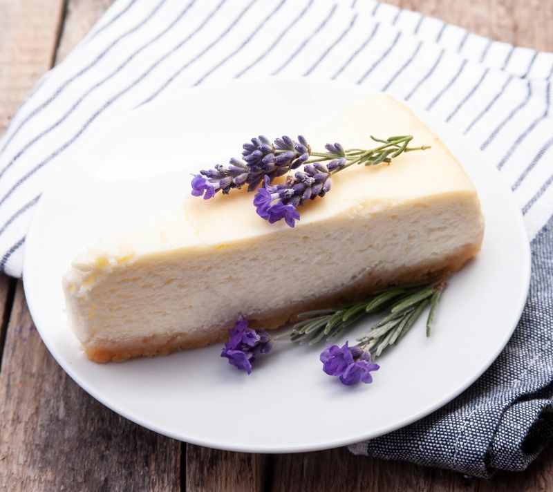 Cheesecake with lavender flower on white backgrounds.Homemade cakes.Provance.