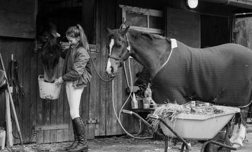 Help with medications for our horses.
