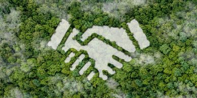 Tree-shaped handshake symbol in a forest clearing.