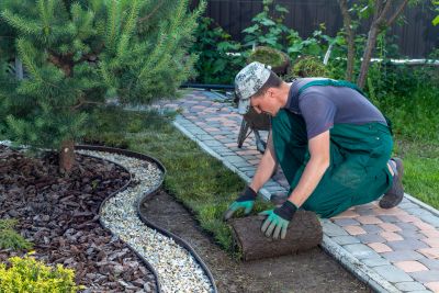 Landscaper installing fresh sod in a garden.