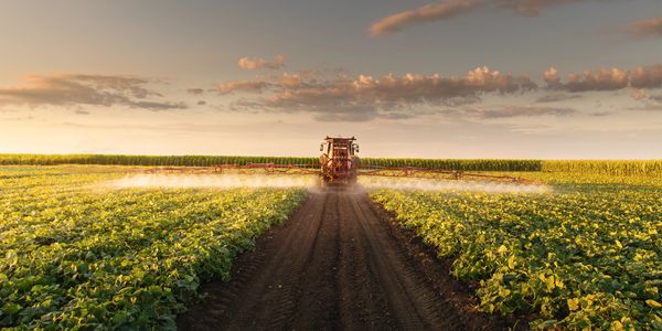Tractor spraying crops.