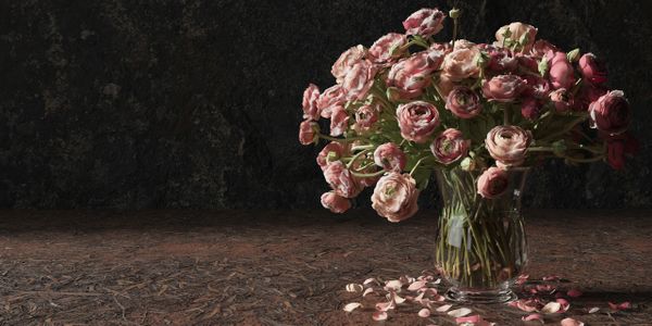 Pink ranunculus flowers in a glass vase with scattered petals on a textured surface.