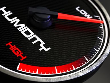 Humidity gauge