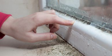 GCK Painting tips for keeping your house free from mould