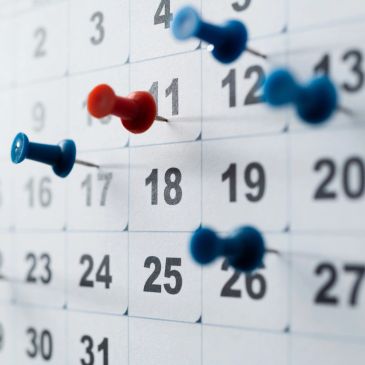 Calendar with push pins marking dates.