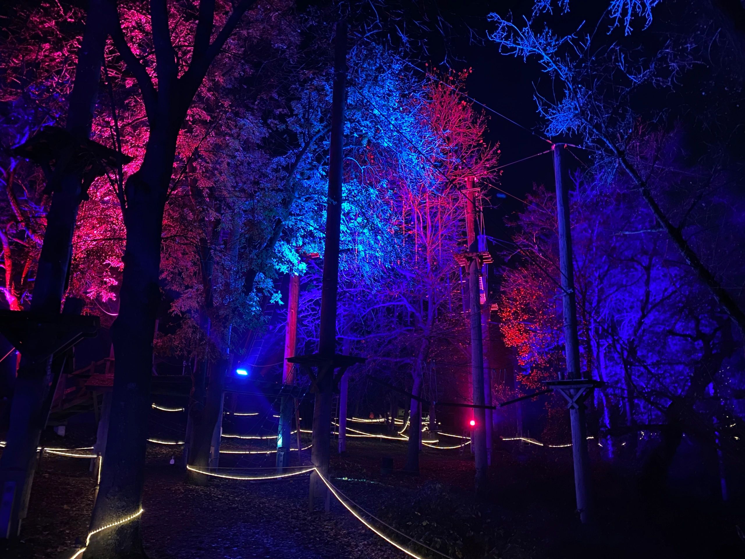 Glow in the Park @
Tippary Park, New Westminster, December 1 to January 4, 2026