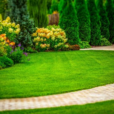 Manicured curb appeal landscaping in Virginia Beach neighborhood