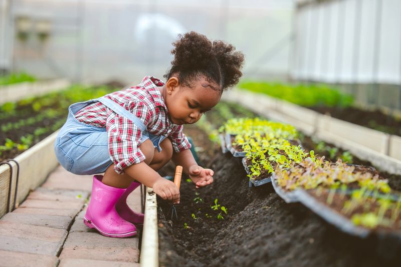 Child play planting the green tree in the garden.