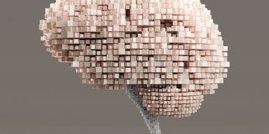 3D pixelated model of a brain composed of small cubes.