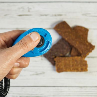 Clicker Training