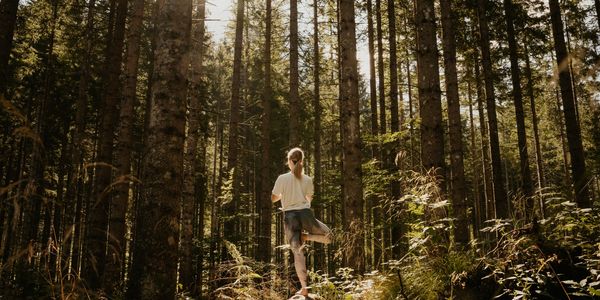 A person stretching in a sunlit forest clearing.