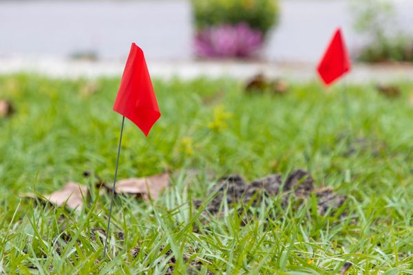 Red flags marking spots on green grass.