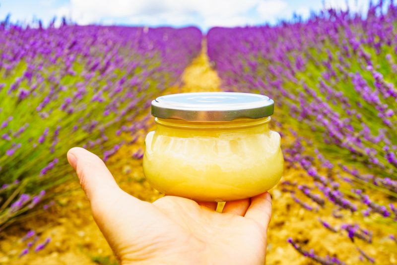 Hand holds jar with honey against fresh lavender field background. Provence in France.