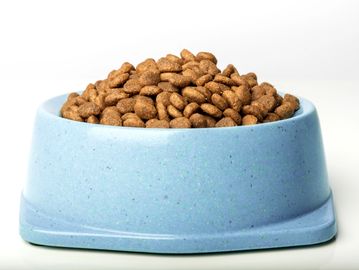 Dog kibble Science Diet Blue Buffalo Purina daycare boarding