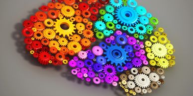 gears in brain shape to indicate sensory processing and executive function profiles
