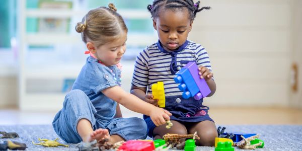 Two young girls playing with colorful building blocks and toy animals indoors.