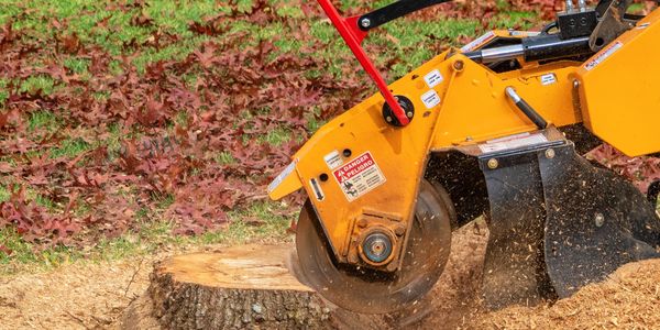 Stump grinding and stump removal services in Brandon, Lithia, and Plant City, FL by BayCrest Contrac