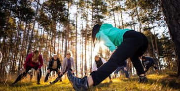 Group stretching exercises outdoors in the forest.