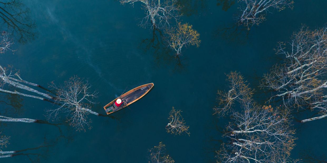 A lone person in a small boat on calm water surrounded by leafless trees.