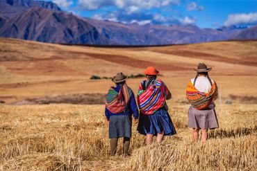 Three people in traditional clothing stand in a golden field with mountains in the background.
