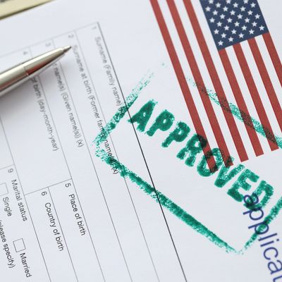 Approved Immigration Application, e.g., VAWA, I-130, I-485 (Green Card), I-765, (Work Permit), TPS