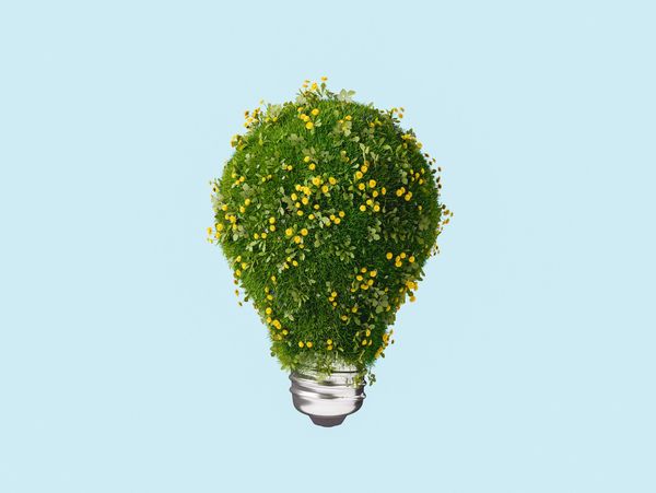 Light bulb made of green grass and yellow flowers on blue background.