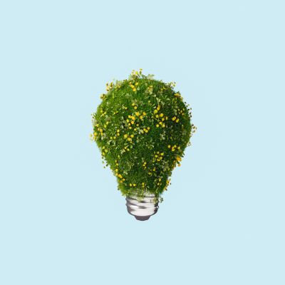 Light bulb shaped greenery with yellow flowers on a blue background.
