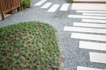 Modern garden path with gravel and stepping stones beside green plants.