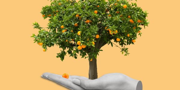 Bring joy to your home decor that brighten any space