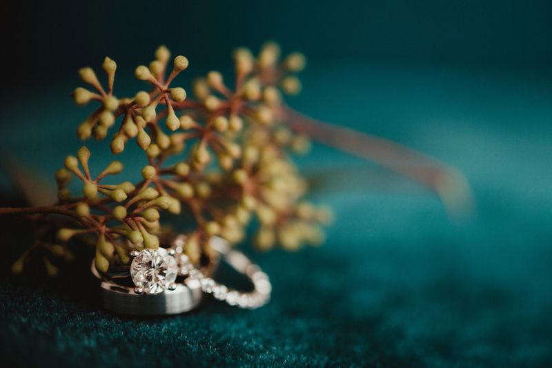 Wedding rings close up with plant on a velvet background